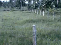  Residential Plot for Sale in Chittur Thathamangalam, Palakkad