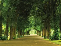 1 BHK Farm House for Sale in Khatraj, Ahmedabad