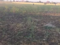  Agricultural Land for Sale in Rehli, Sagar