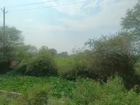  Agricultural Land for Sale in Adhartal, Jabalpur