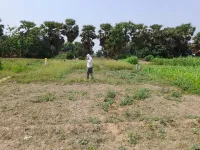  Residential Plot for Sale in Dumra, Sitamarhi