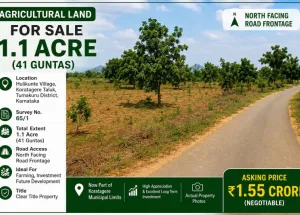 Agricultural Land for Sale in Koratagere, Tumkur