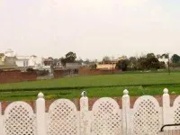  Agricultural Land for Sale in Banga, Shahid Bhagat Singh Nagar