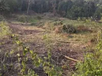 1 RK House for Sale in Niel Island, Port Blair, Port Blair