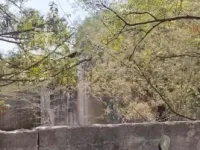  Industrial Land for Sale in Pashamylaram, Hyderabad