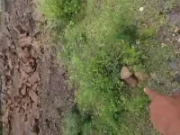  Residential Plot for Sale in Girwa, Udaipur