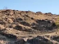  Agricultural Land for Sale in Girwa, Udaipur