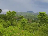  Agricultural Land for Sale in Gogunda, Udaipur