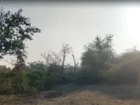  Agricultural Land for Sale in Kurabad, Udaipur