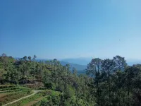  Agricultural Land for Sale in Kausani, Almora