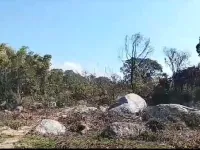  Residential Plot for Sale in Gharoh, Dharamsala