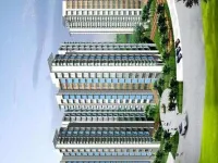 1 BHK Flat for Sale in Ghodbunder Road, Thane