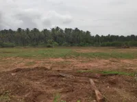  Agricultural Land for Sale in Pollachi, Coimbatore