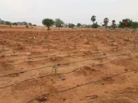  Agricultural Land for Sale in Bhuvanagiri, Cuddalore
