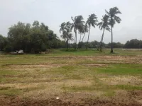 Commercial Land for Sale in Colva, South Goa,