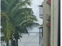 1 BHK Flat for Sale in Mahim West, Mumbai