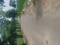 Agricultural Land for Sale in Nangal Purdil, Jalandhar