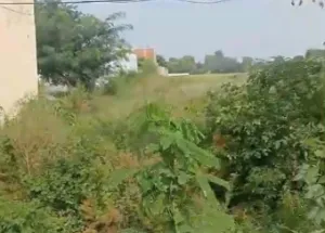 Commercial Land for Sale in 66 Feet Road, Jalandhar