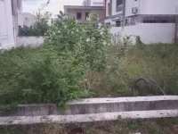  Residential Plot for Sale in Reddipatti, Salem