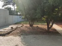 Residential Plot for Sale in Kalapatti, Coimbatore