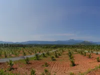  Residential Plot for Sale in Saravanampatti, Coimbatore