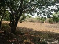 Residential Plot for Sale in Mevalurkuppam, Kanchipuram