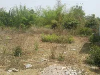  Residential Plot for Sale in TDI City Kundli, Sonipat
