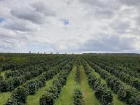  Commercial Land for Sale in Valparai, Coimbatore