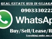  Agricultural Land for Sale in Halol, Panchmahal