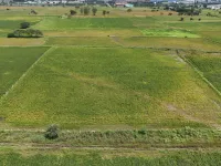  Agricultural Land for Sale in Pithampur, Dhar