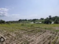  Agricultural Land for Sale in Ajmer Road, Jaipur