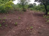  Agricultural Land for Sale in Chiplun, Ratnagiri