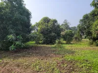  Agricultural Land for Sale in Sanjan, Valsad