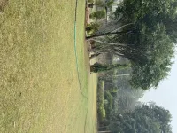 Agricultural Land for Sale in Sohna, Gurgaon