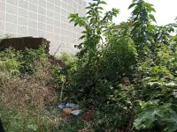  Agricultural Land for Sale in Mussoorie, Dehradun