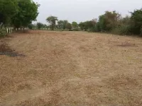  Agricultural Land for Sale in Borsad, Anand