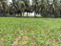  Agricultural Land for Sale in Kalapatti, Coimbatore
