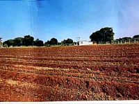  Agricultural Land for Sale in Karamsad, Anand