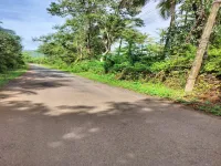  Agricultural Land for Sale in Canacona, Goa