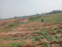  Agricultural Land for Sale in Uthiramerur, Kanchipuram