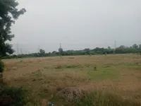  Agricultural Land for Sale in Cheyyar, Kanchipuram