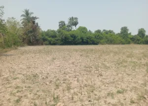 Agricultural Land for Sale in Uthiramerur, Kanchipuram