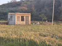  Agricultural Land for Sale in Hindoli, Bundi