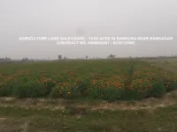  Agricultural Land for Sale in Ondagram, Bankura