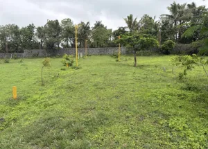 1 BHK Farm House for Sale in Trimbak, Nashik