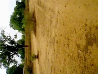  Residential Plot for Sale in Ladhewali Road, Jalandhar