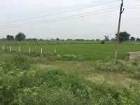  Agricultural Land for Sale in Himatnagar, Sabarkantha