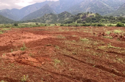  51 Acre Agricultural/Farm Land for Sale in Tenkasi, Tirunelveli