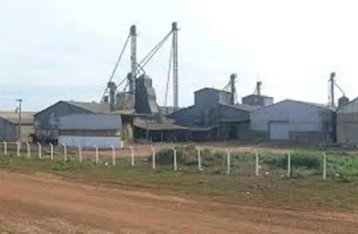  100 Bigha Industrial Land for Sale in Haridwar Highway, Roorkee