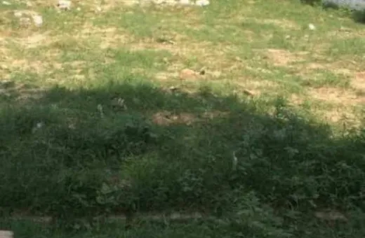  107 Sq. Yards Residential Plot for Sale in Sector 110A, Gurgaon